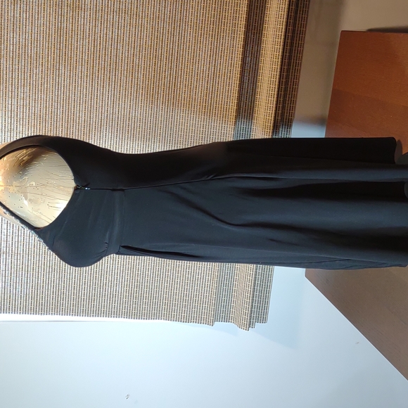 Cocktail Evening Dress Size 6 for that Special Event by SANGRIA - Picture 5 of 12